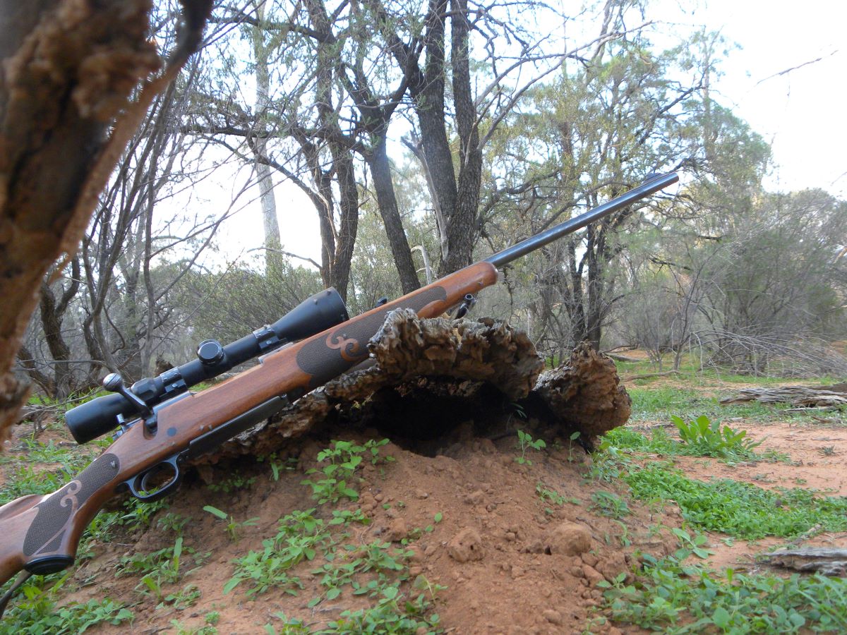 The Guns of ‘Fire Eye’ and ‘Web of Crimes’.
