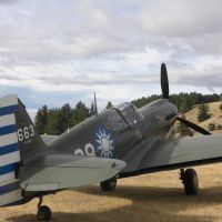 P-40, Wanaka