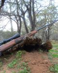 The Guns of ‘Fire Eye’ and ‘Web of Crimes’.